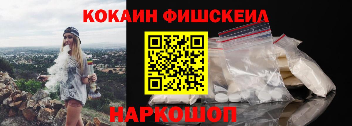 COCAIN Fish Scale  продажа наркотиков  Саранск  Вход с VPN 