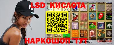 прущие грибы Новодвинск