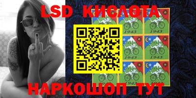 прущие грибы Новодвинск