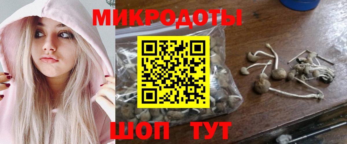 Галлюциногенные грибы Psilocybine cubensis  Вход с VPN  Саранск  Галлюциногенные грибы Cubensis 